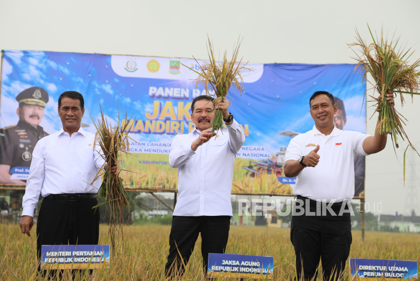 Panen Raya Jaksa Mandiri Pangan di Desa Srimahi, Kecamatan Tambun Utara, Kabupaten Bekasi, Jawa Barat, Selasa (19/8/2025).