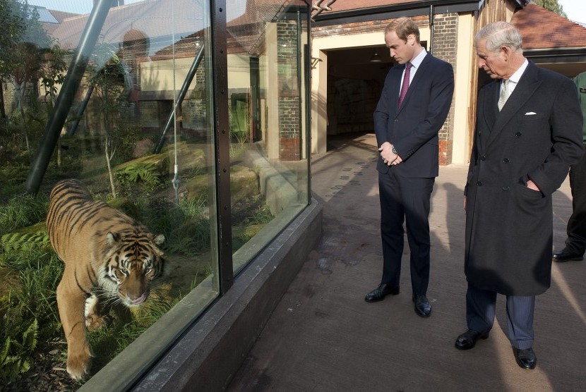 Pangeran Charles dan Pangeran William melihat macan di Kebun Binatang London, Inggris.