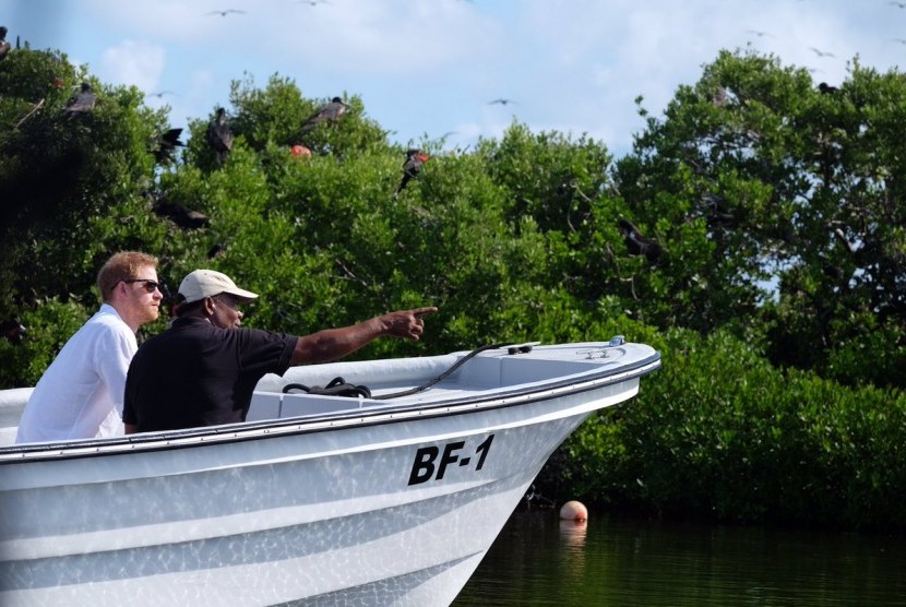 Pangeran Harry bersama Perdana Menteri Karibia, Gaston Brown menikmati suasana suaka burung The Frigate Bird Sanctuary