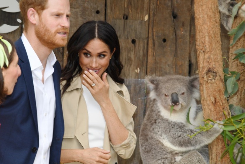 Pangeran Harry dan Meghan Markle melihat seekor koala yang di Taronga Zoo, Sydney, Selasa (16/10). Pasangan kerajaan Inggris sedang berada di Australia untuk kunjungan resmi. 