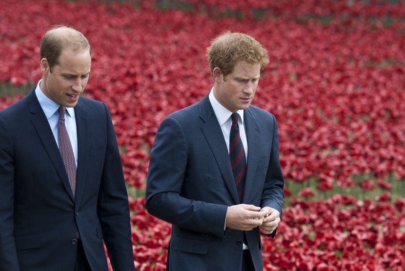 Pangeran William dan Pangeran Harry sepakat berbagi hasil Diana Memorial Fund.