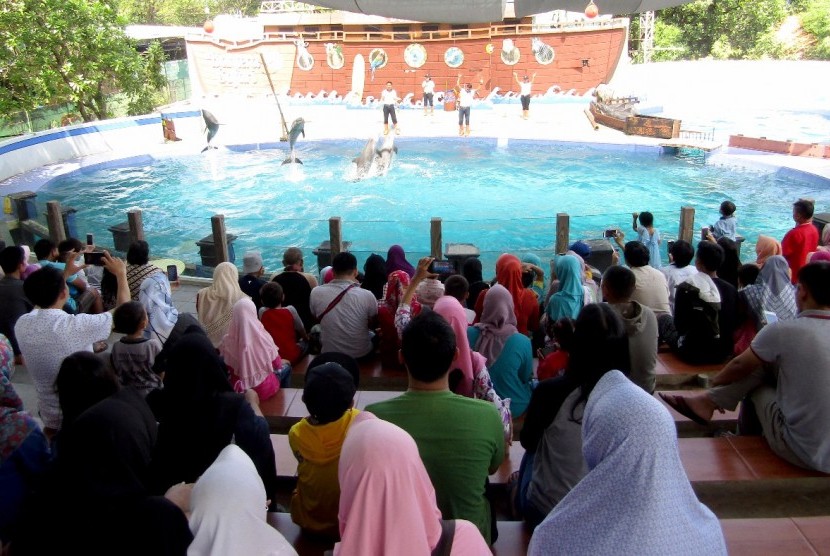 Ada Mini Zoo Lumba Lumba Di Pantai Sigandu Batang