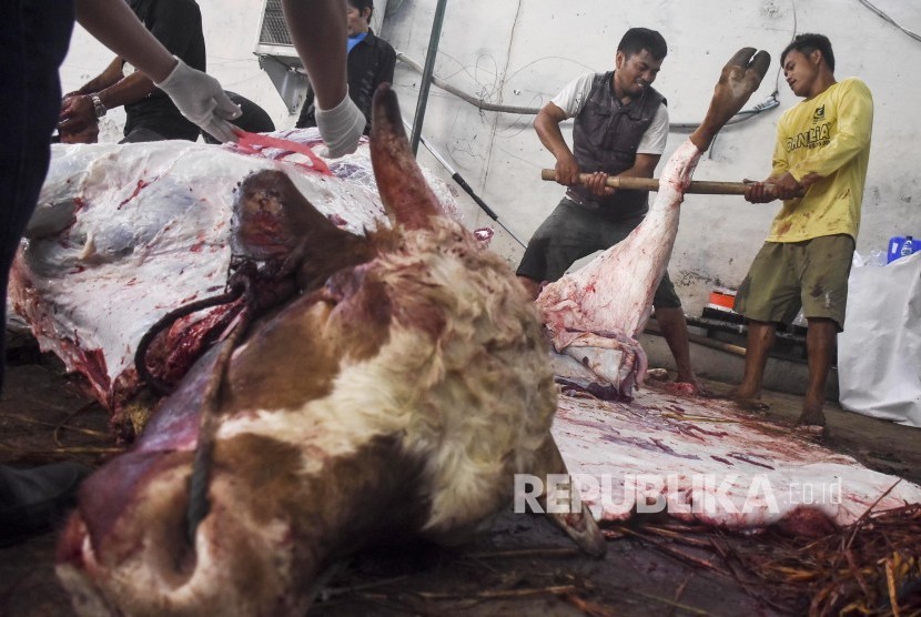 Panitia memotong daging sapi kurban dari Presiden Joko Widodo untuk Bandung usai melaksanakan sholat Idul Adha 1440 H di Masjid Raya Bandung, Jalan Dalem Kaum, Kota Bandung, Ahad (11/8). 