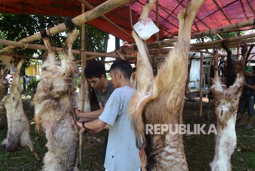 Panitia menguliti kambing kurban di Masjid Fajar Baitullah, Rawapanjang, Bojonggede, Bogor, Senin (12/9).