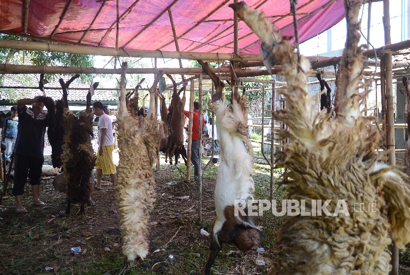 Panitia menguliti kambing kurban di Masjid Fajar Baitullah, Rawapanjang, Bojonggede, Bogor, Senin (12/9).
