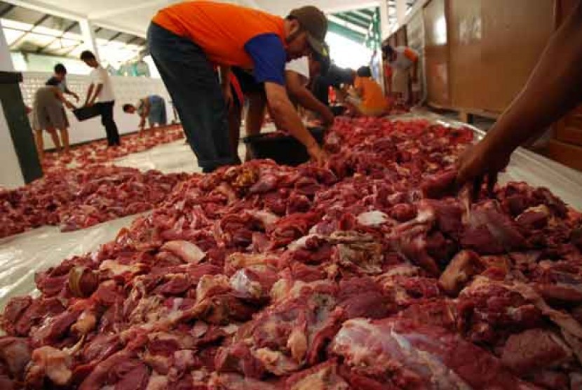   Panitia mengumpulkan daging hewan kurban yang sudah dipotong untuk dibagikan ke warga di Rawapanjang Bojonggede, Kabupaten Bogor. Jumat (26/10).  