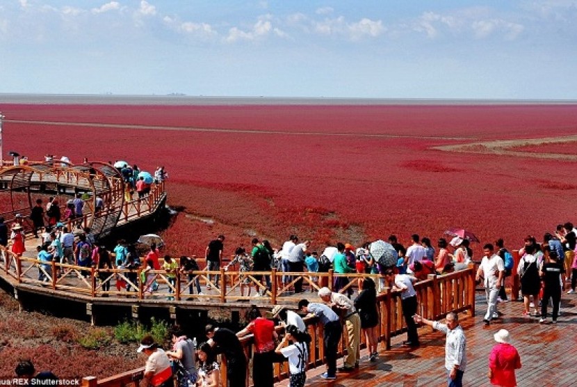 Panjin Red Beach di Cina