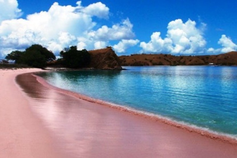  Pantai Pink Bima 