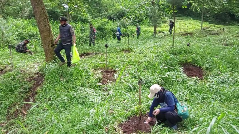 Papatong Artspace bersama dengan Sebumi melakukan penanaman 1.000 bibit pohon di area lahan kritis sekitar Situ Cisanti, 0 Km Hulu Sungai Citarum, Jawa Barat.