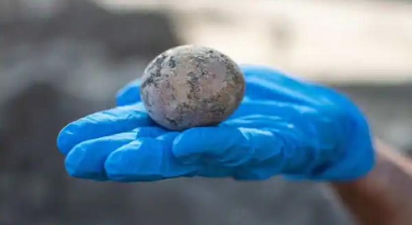 Para arkeolog di Israel menemukan telur ayam berusia 1.000 tahun yang utuh.