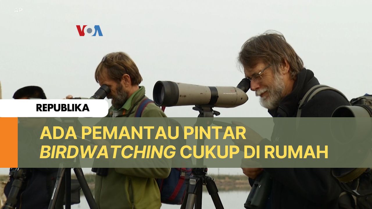 Para Birdwatching di AS