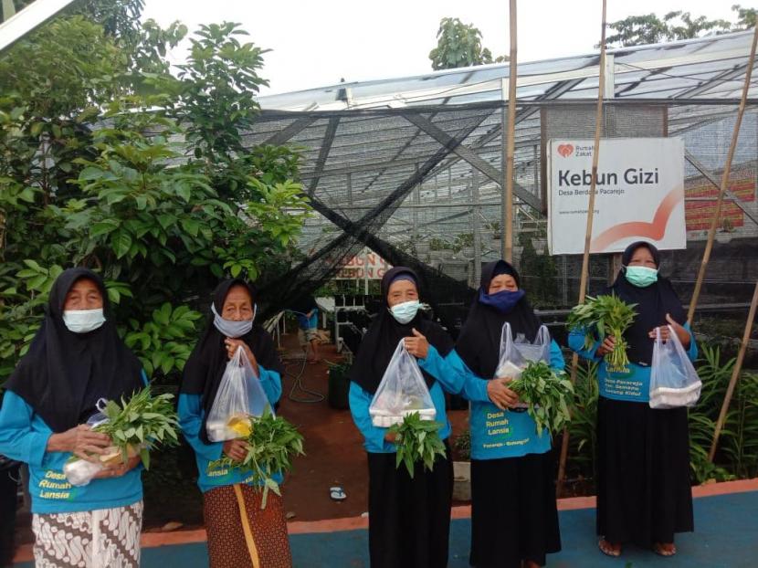 Para lansia binaan pos Lansia Husnul Chotimah yang menerima hasil panen kangkung 