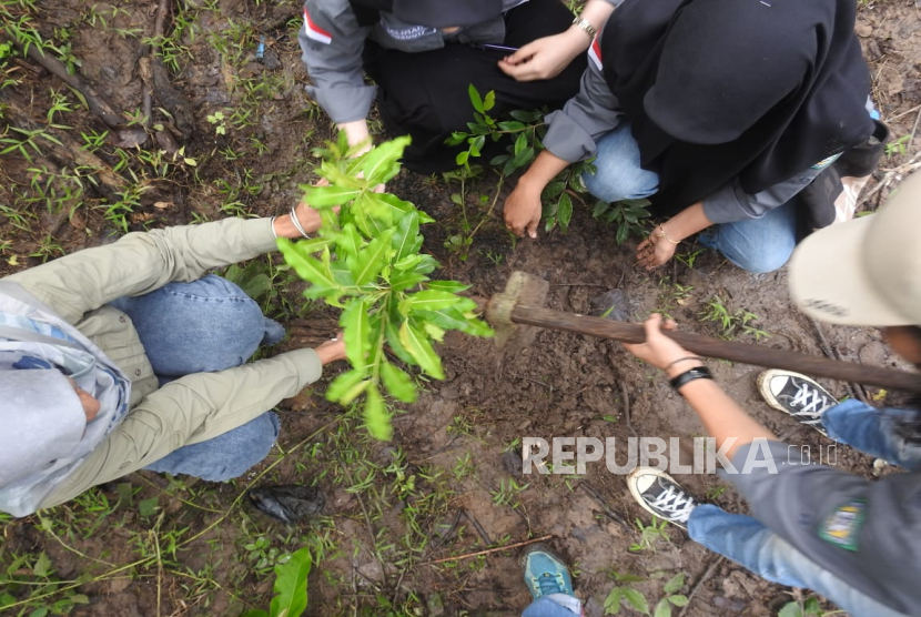 Para mahasiswa Sekolah Tinggi Ilmu Kehutanan (STIK) Teungku Chik Pante Kulu menanam pohon di kawasan Hutan Wakaf Aceh, Jantho, Aceh Besar, belum lama ini.