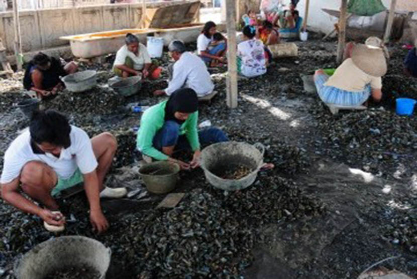 Para pekerja mengupas kulit kerang hijau di Muara Karang, Jakarta Utara, Rabu (26/10). (Republika/Aditya Pradana Putra)