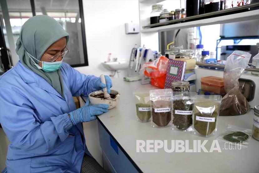 Para peneliti dari Lembaga Ilmu Pengetahuan Indonesia (LIPI) melakukan proses ekstraksi saat uji laboratorium penemuan obat herbal untuk penyembuhan COVID-19 dan penghambatan pertumbuhan virus corona di Pusat Penelitian Kimia LIPI di Banten, Indonesia pada Jumat 8 Mei 2020.