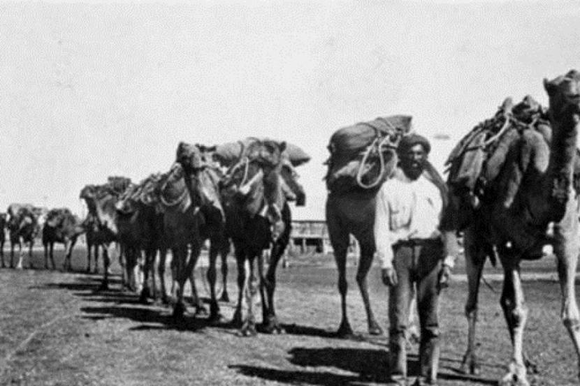 Para pengelana unta Afganistan di Australia 1860-1920.