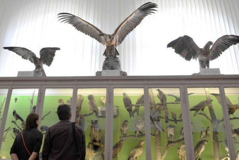 Para pengunjung melihat berbagai taksidermi di Museum Sejarah Alam di Ljubljana, Slovenia. 