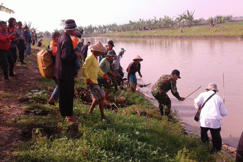 Para petani melakukan aksi gropyokan tikus di areal persawahan (Ilustrasi)