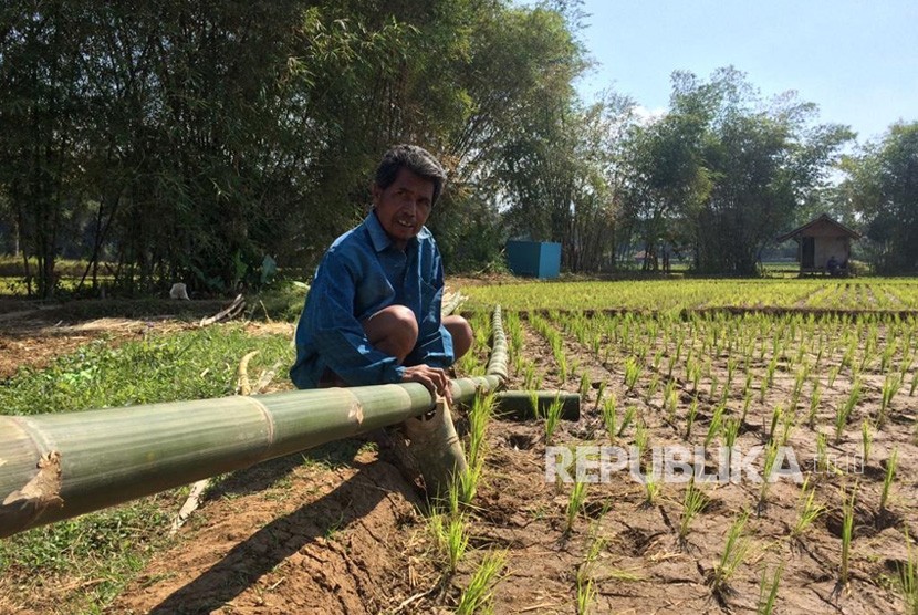 Para petani di Kampung Sukasirna, Dusun Cireundeu, Desa Manggungsari, Kecamatan Rajapolah, Kabupaten Tasikmalaya, membuat kincir air untuk mengairi areal persawahan yang mulai mengamali kekeringan, Selasa (9/7/2019).