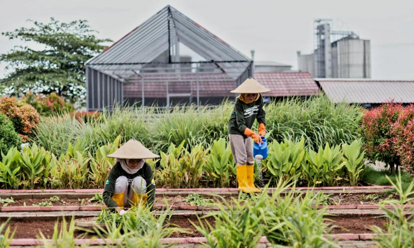    Para petani yang berasal dari masyarakat desa sekitar PT Semen Gresik pabrik Rembang, sedang melakukan aktivitas pembibitan tanaman, di kawasan Edupark yang berlokasi di Desa Kajar, Kecamatan Gunem, Kabupaten Rembang, Jawa Tengah.