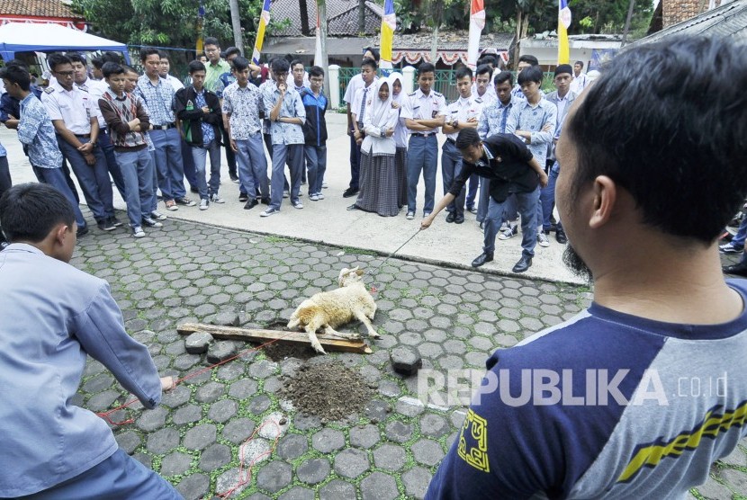 Para siswa mengikuti pelatihan tata cata penyembelihan hewan kurban di Sekolah Menengah Atas (SMA) Darul Hikam, Kota Bandung, Kamis (8/9). Kegiatan yang diikuti sejumlah SMA se-Kota Bandung. (Mahmud Muhyidin)