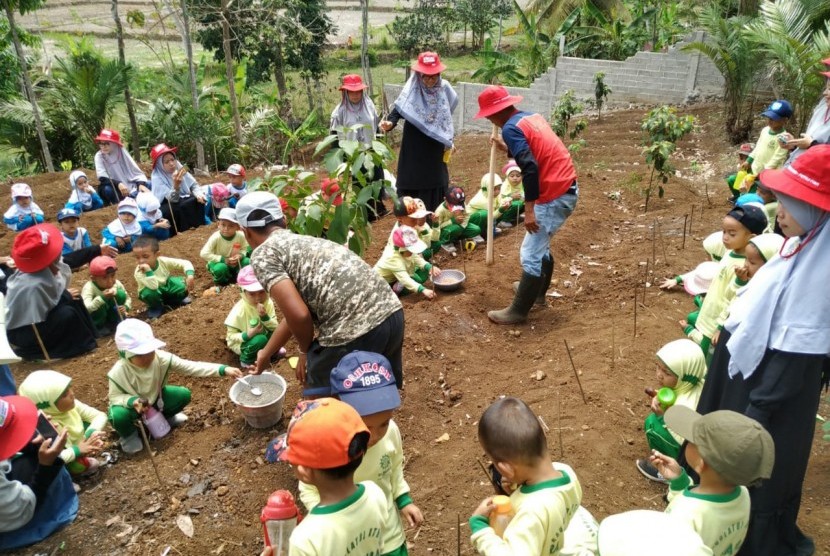 Para siswa RA Raihan Persis 27 Kota Tasikmalaya diajarkan langsung memetik buah langsung dari pohonnya dan menanam pohon, Senin (2/12).