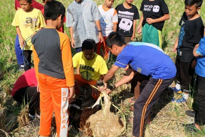 Para siswa SMP Juara Bandung ikut membantu pemotongan hewan kurban.