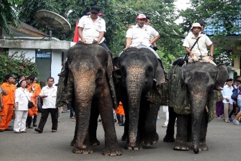 Parade Gajah