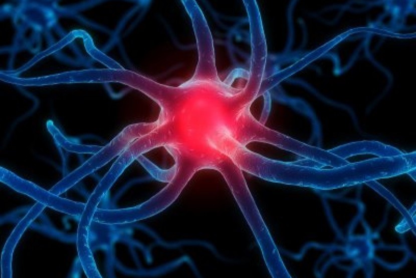  Para ilmuwan mendapati gejala motorik dan nonmotorik penyakit Parkinson dikaitkan dengan dua jalur saraf tertentu. (ilustrasi)