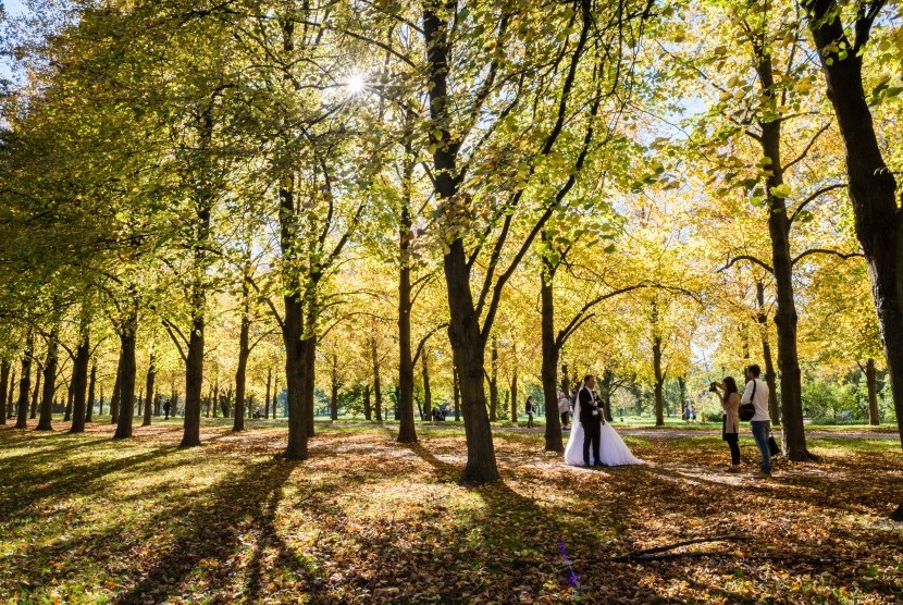 Pasangan pengantin baru difoto dengan latar hutan di musim gugur di Jerman.