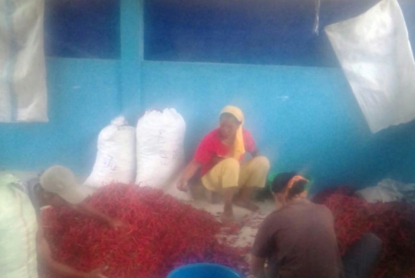 Pasar Lelang Hortikultura di Desa Muara Burnai I, Kecamatan Lempuing Jaya, Kabupaten Ogan Komering Ilir, Sumatera Selatan.