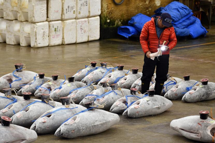 Pasar Tsukiji atau Toyosu menerima pukulan besar akibat dihantam pandemi Covid-19. Ilustrasi.