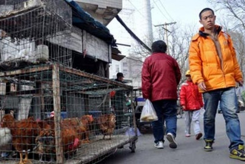 Pasar unggas di Jinan, Provinsi Shandong, Cina.