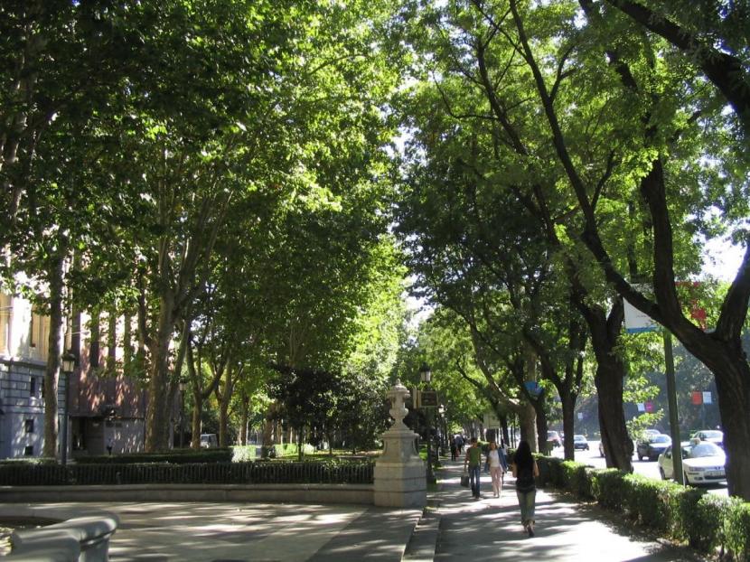 Paseo del Prado Madrid Spanyol masuk warisan dunia UNESCO