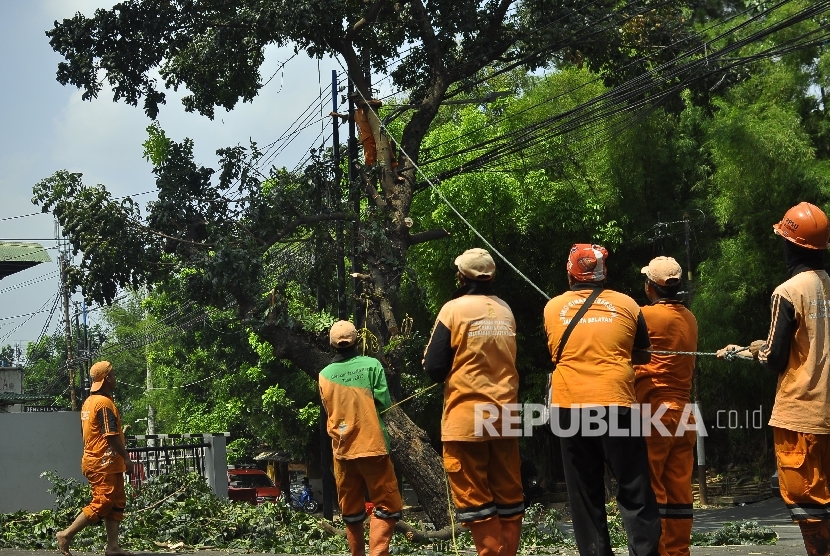  Pasukan oranye menarik pohon yang sudah dipangkas di kawasan Jalan Pejaten, Jakarta, Senin (31/7).