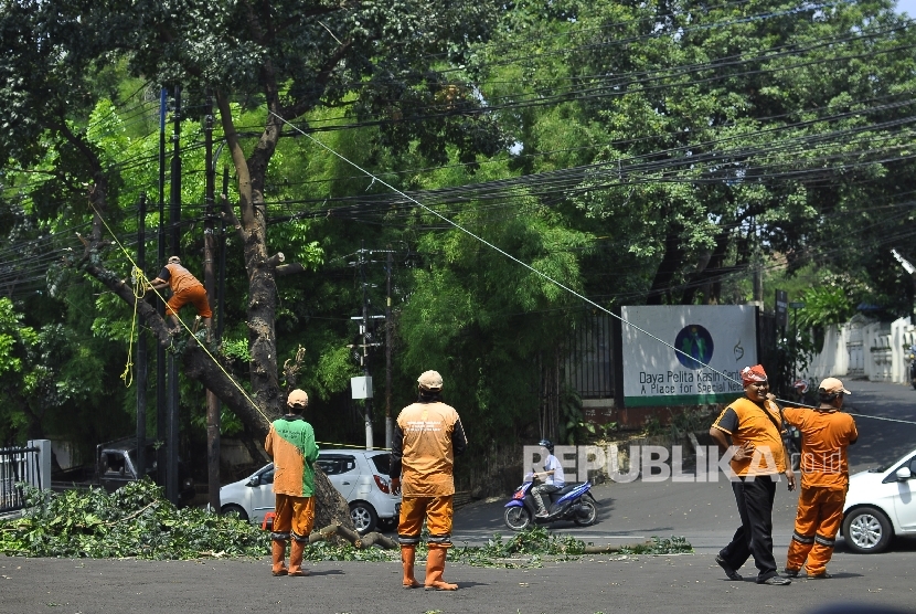  Pasukan oranye menarik pohon yang sudah dipangkas. Pemerintah Kota Jakarta Timur menggencarkan kegiatan pemangkasan sebagai antisipasi pohon tumbang saat musim hujan saat ini. 