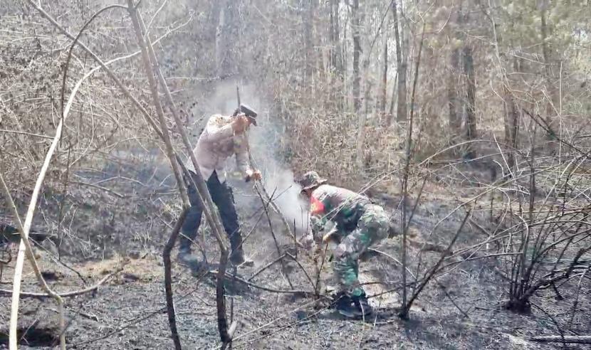   Patroli sterilisasi api masih menemukan bara di kawasan hutan Taman Nasional Gunung Merbabu.