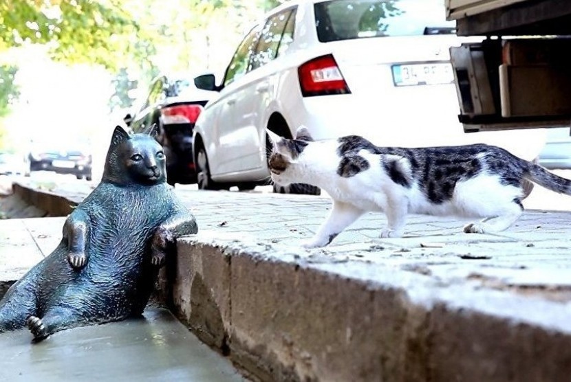 Patung kucing Tombili di Istanbul, Turki.