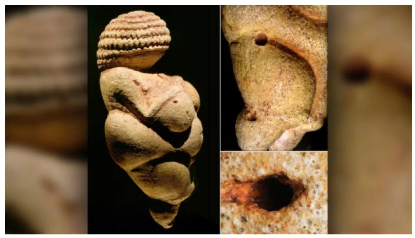 Patung  Venus of Willendorf. Ilmuwan mencari tahu asal usul ukiran yang berusia 30 ribu tahun ini.