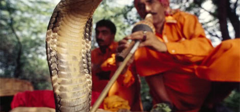 Pawang ular India