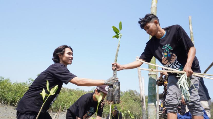 PBNU menggelar kegiatan bersih-bersih pantai dan tanam mangrove di Pantai Romokalisari, Surabaya, memperingati Hari Santri Nasional 2023.