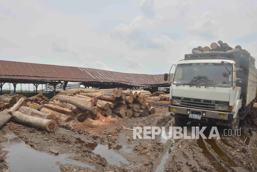 PD. KM perusahaan Saw Mill yang berlokasi di Jl Warung Jaud No 8 Kecamatan Kasemen, Kota Serang, Provinsi Banten diduga melakukan aktivitas illegal logging.