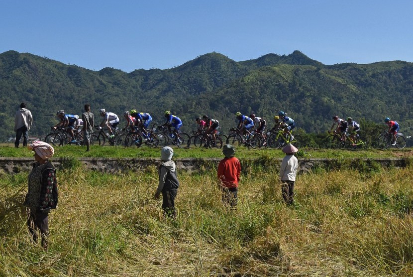 Pembalap melewati persawahan pada Tour de Flores 2016. 