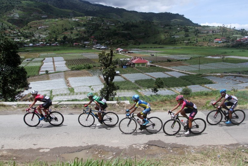Pebalap sepeda melintas di area perkebunan warga saat mengikuti Tour de Singkarak 2018 pada etape ke tujuh, di Kabupaten Solok, Sumatera Barat, Sabtu (10/11/2018).
