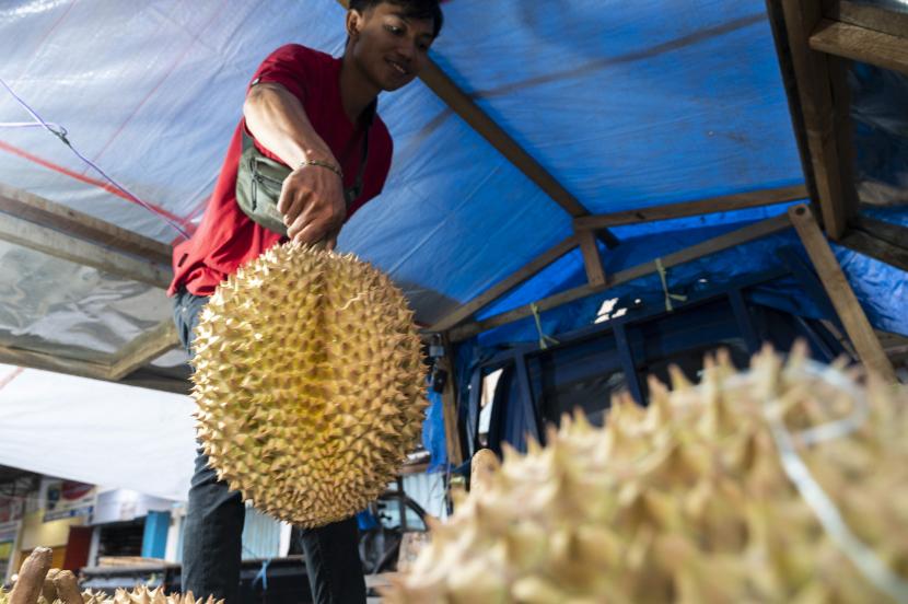 Durian, ilustrasi. Pemerintah kabupaten dan Kepolisian Resor Bengkulu Tengah menyiapkan sebanyak 1.000 durian untuk pelaksanaan Festival Durian pada 17 September 20222.