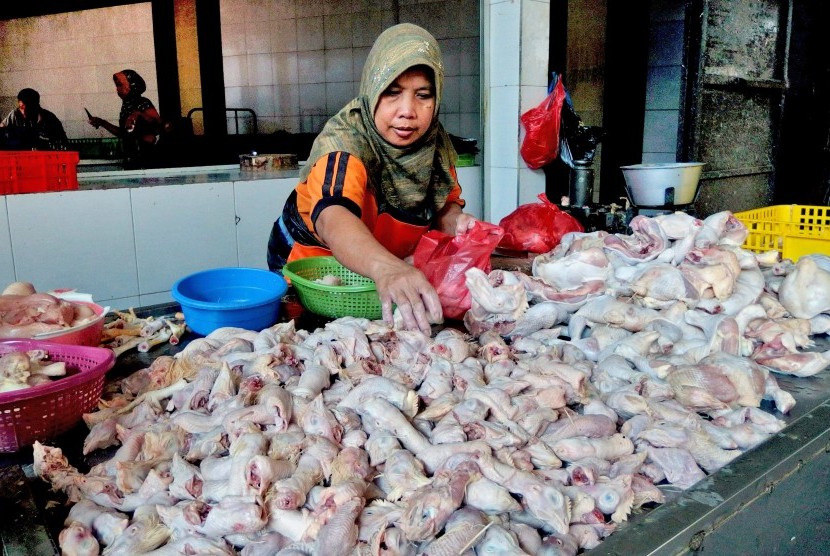 Pedagang daging ayam menata dagangannya.