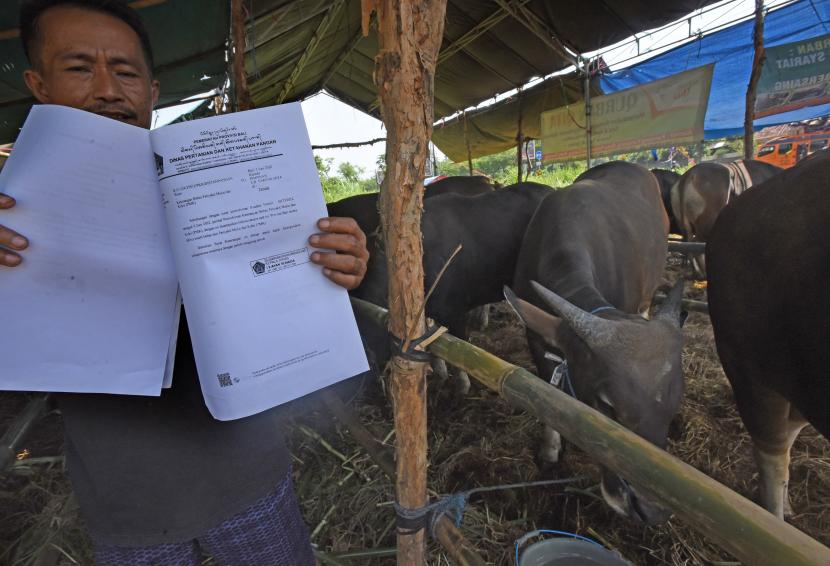 Pedagang hewan kurban memperlihatkan surat keterangan sehat hewan kurban (ilustrasi). Pemkab Bantul mengimbau masyarakat beli hewan kurban yang punya surat sehat.