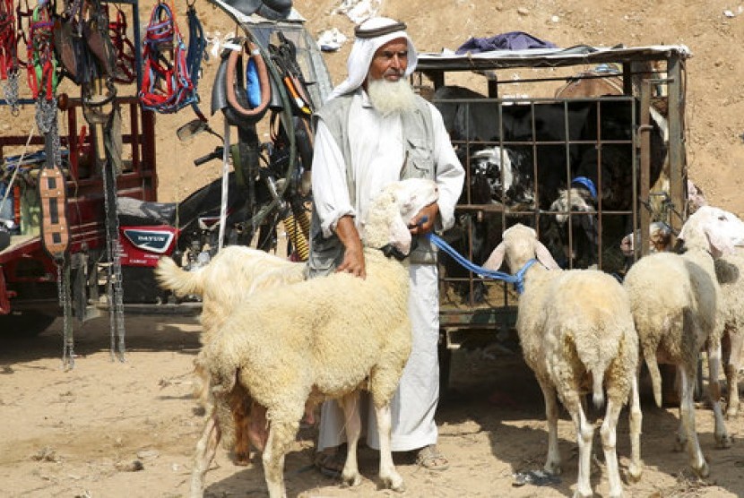 Pedagang kurban tengah menanti pembeli di Kamp Pengungsian Bureij, Jalur Gaza, belum lama ini. 