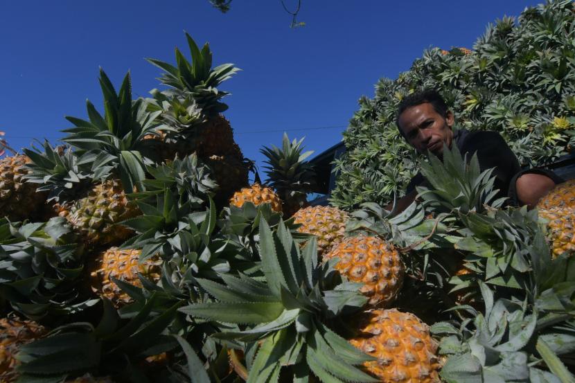 Polda Kepulauan Babel fokus menanam nanas untuk membantu program ketahanan pangan.