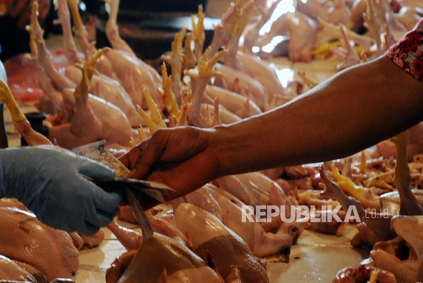 Pedagang melayani pembeli ayam potong di pasar tradisional, Jakarta, Selasa (9/8).  (Republika/ Tahta Aidilla)